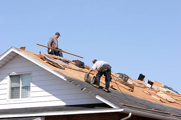 Best Storm Damage Roof Repair  in Cherry Grove, OH